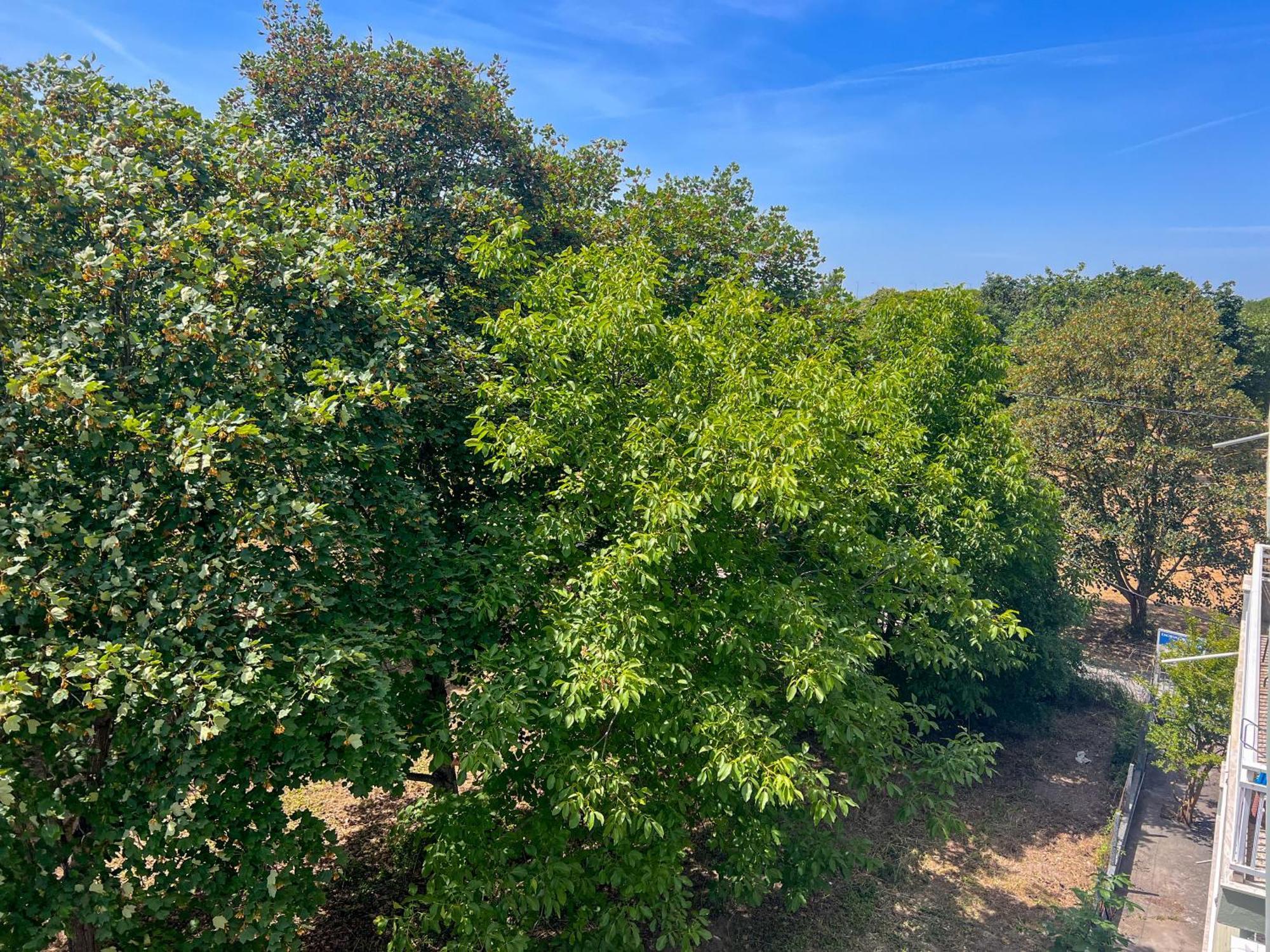 Limin Litochorou Prado Apartment Hotel חדר תמונה