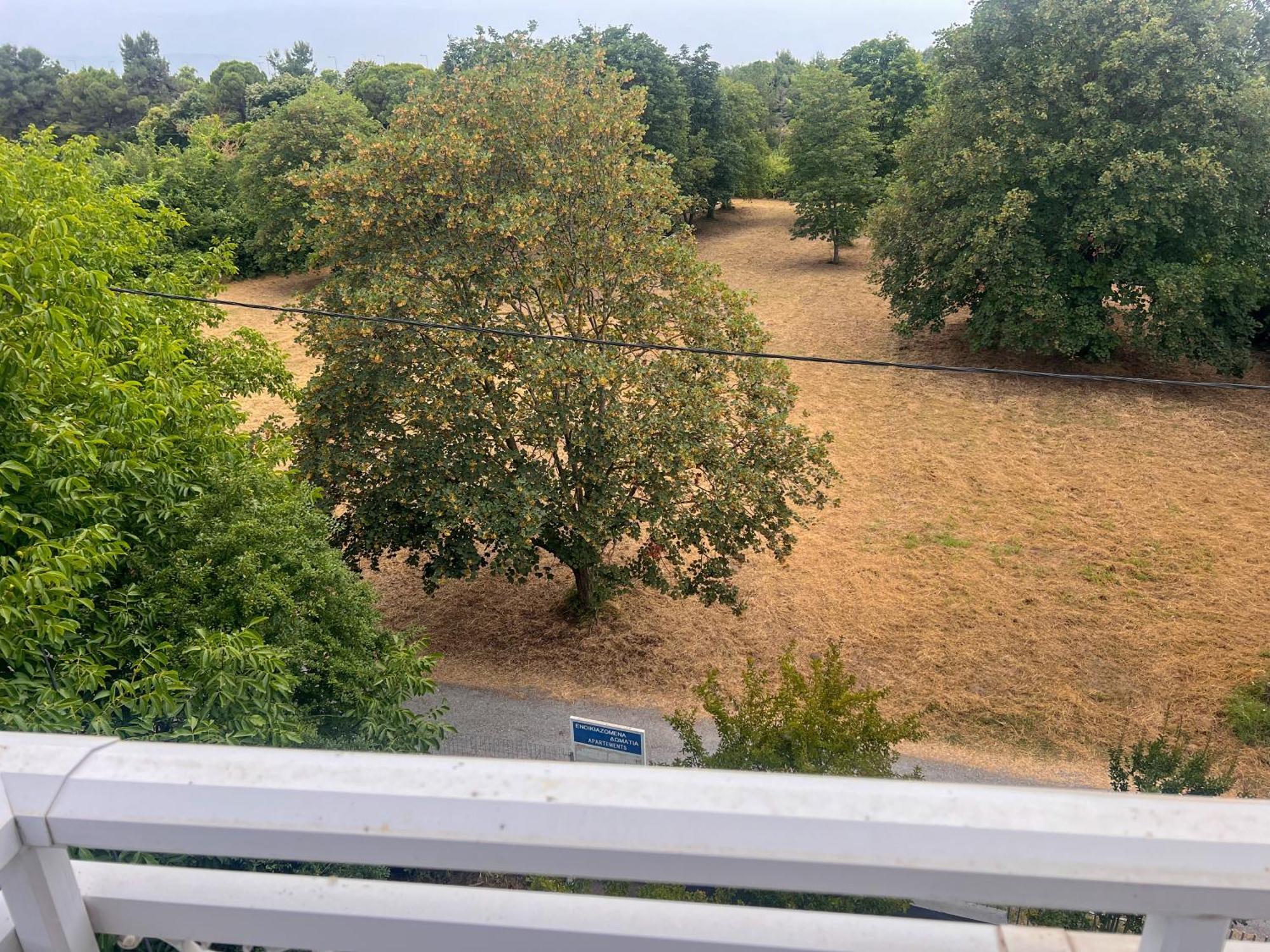 Limin Litochorou Prado Apartment Hotel חדר תמונה