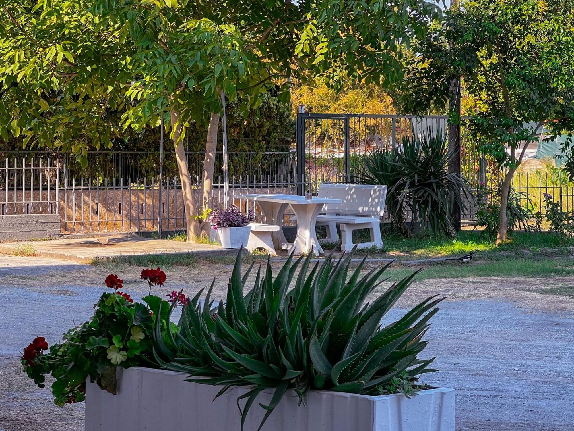 Limin Litochorou Prado Apartment Hotel מראה חיצוני תמונה